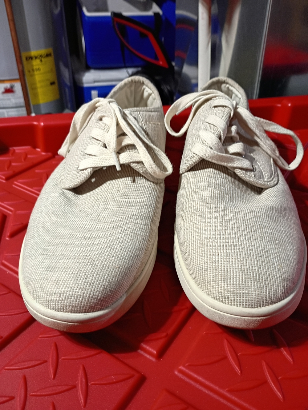 Steve Madden Men's Canvas Lace-Up Sneakers in Natural Beige
